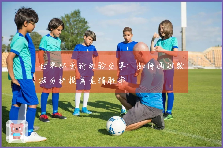 世界杯竞猜经验分享：如何通过数据分析提高竞猜胜率