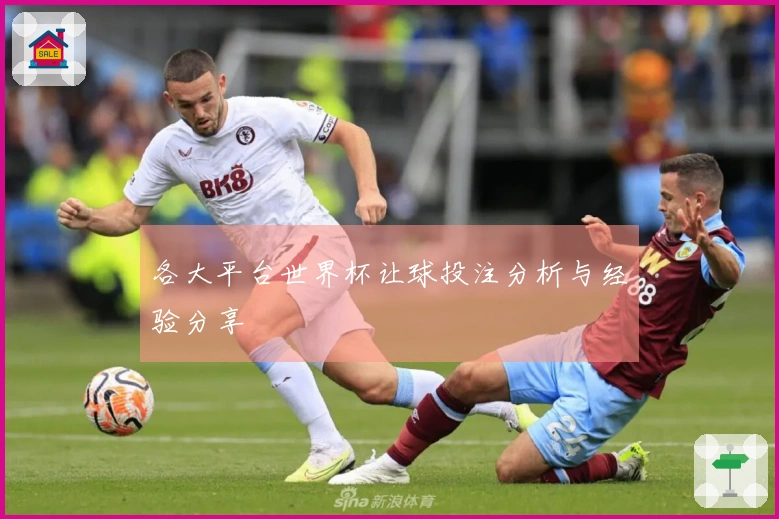 各大平台世界杯让球投注分析与经验分享
